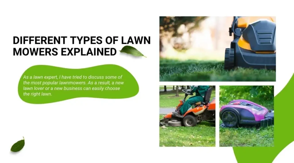 7 Different Types of Lawn Mowers Explained