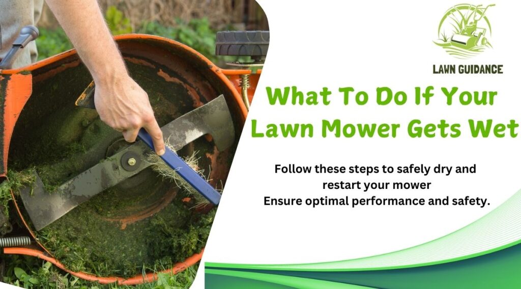 What To Do If Your Lawn Mower Gets Wet