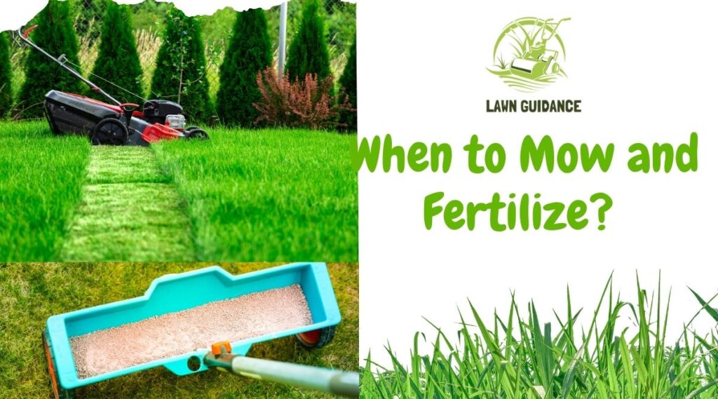 When to Mow and Fertilize? 