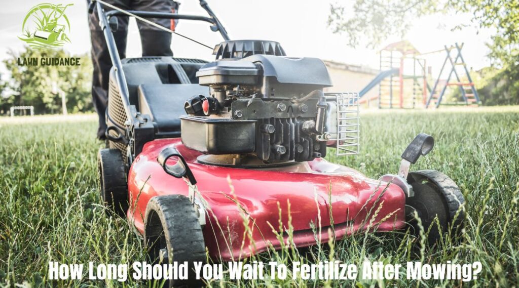 How Long Should You Wait To Fertilize After Mowing?
