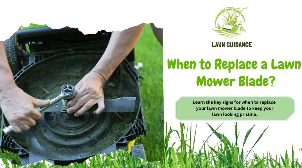 When to Replace a Lawn Mower Blade