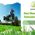 Does Mowing Lawn Stimulate Growth