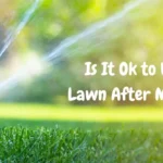 Is It Ok to Water Lawn After Mowing