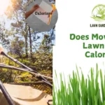 Does Mowing the Lawn Burn Calories