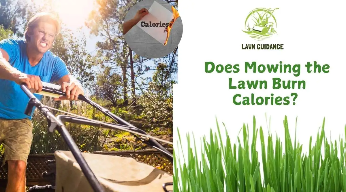 Does Mowing the Lawn Burn Calories